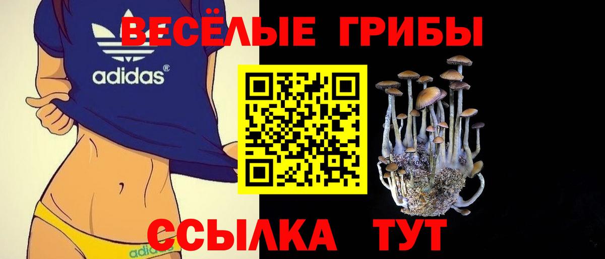 Псилоцибиновые грибы Magic Shrooms Пушкино
