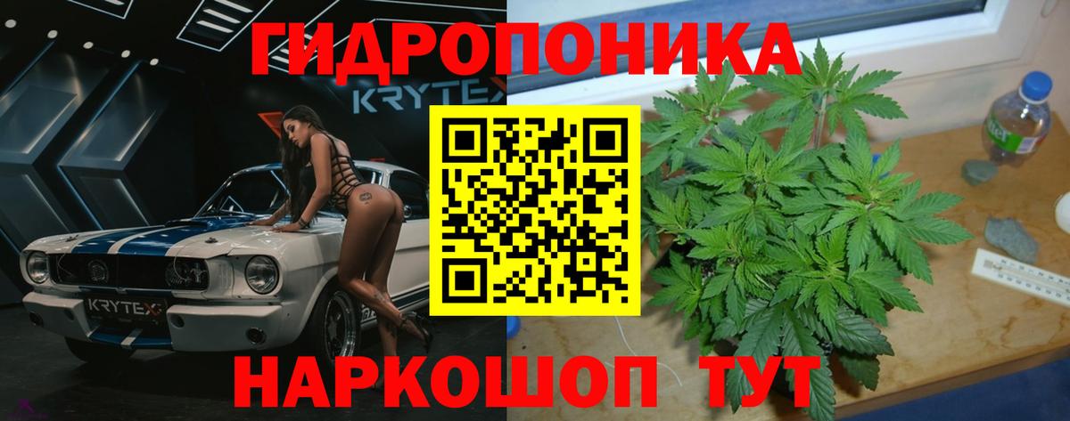 Каннабис гибрид Пушкино